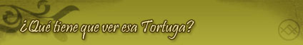 Que tiene que ver esa Tortuga?