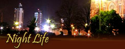 Night Life -  La Plata